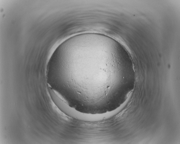 X0000072951532200608111613