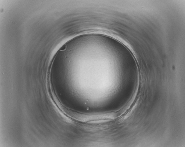 X0000072951533200608111613