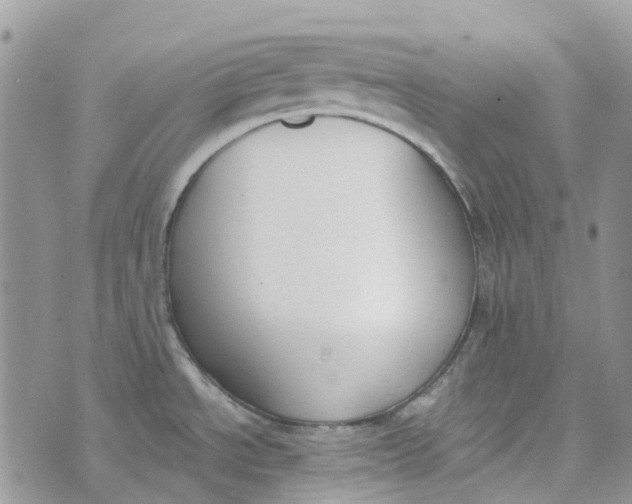 X0000072951534200608111613