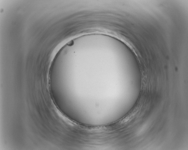 X0000072951535200608111613