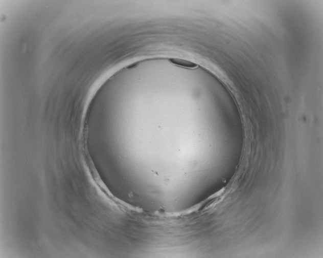 X0000072951536200608111613