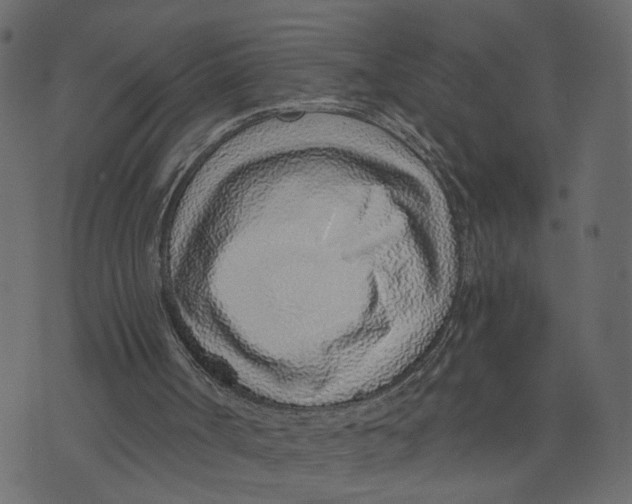 X0000072950002200608181418