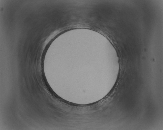 X0000072950008200608181418