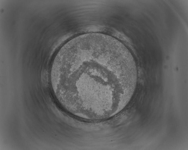 X0000072950012200608181418