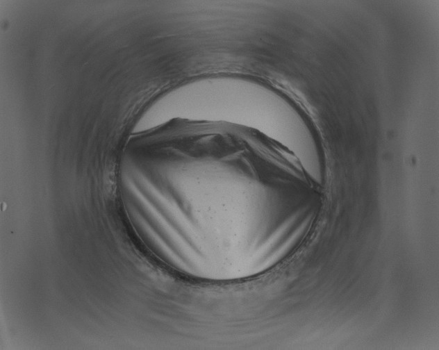X0000072950017200608181418