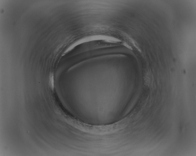 X0000072950027200608181417