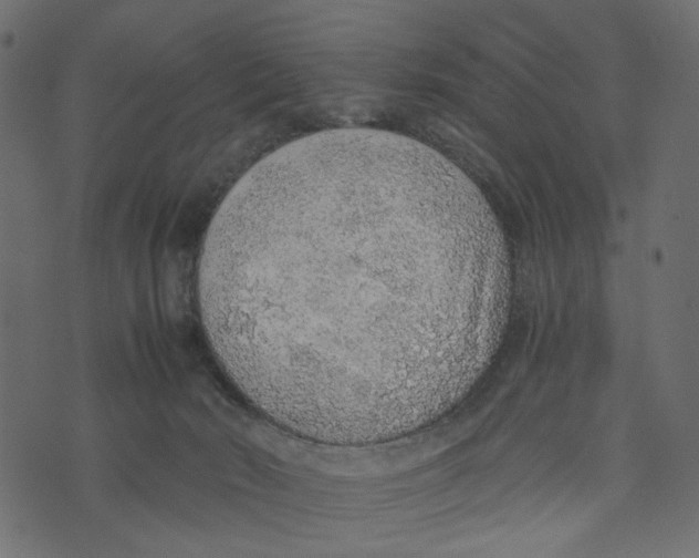 X0000072950030200608181417