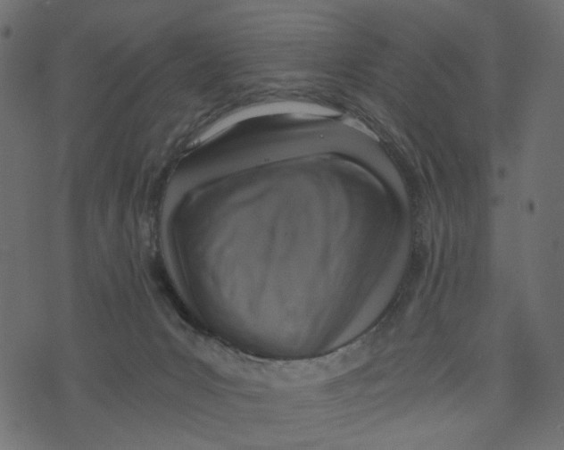 X0000072950031200608181417