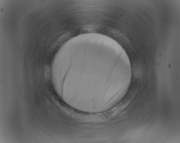 X0000072950036200608181417