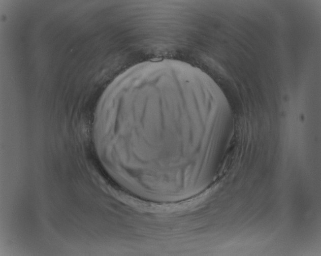 X0000072950039200608181417