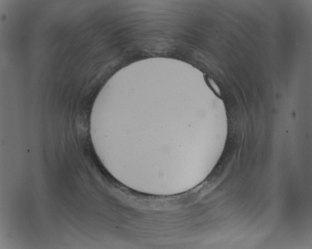 X0000072950040200608181417