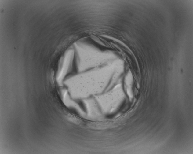 X0000072950041200608181417