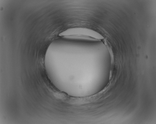 X0000072950045200608181417