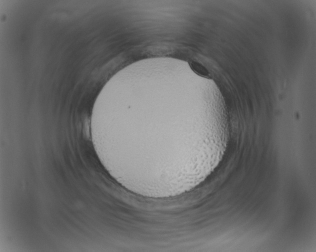 X0000072950046200608181417