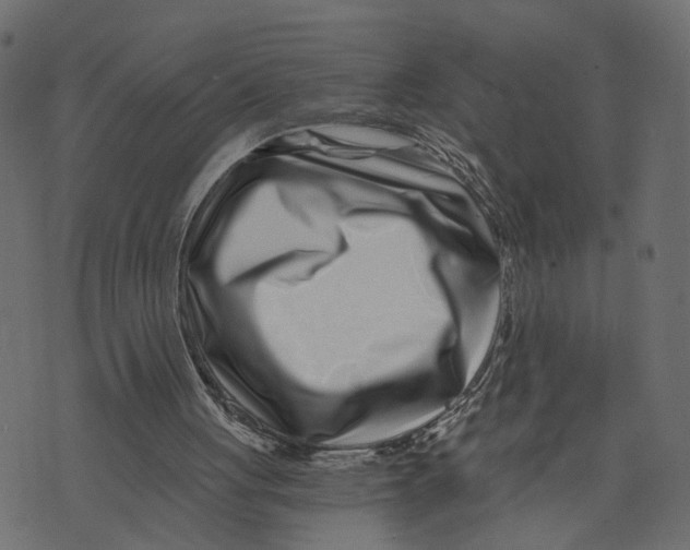 X0000072950051200608181416