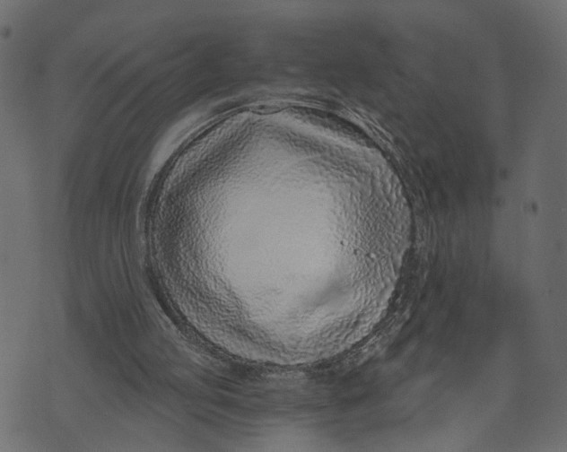 X0000072950053200608181416