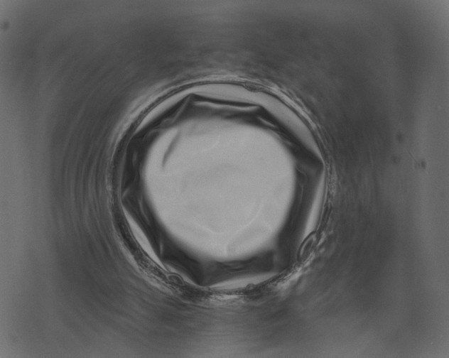 X0000072950055200608181416