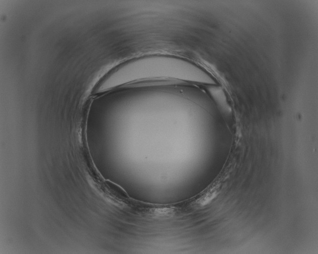 X0000072950060200608181416