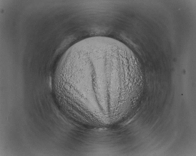 X0000072950067200608181417