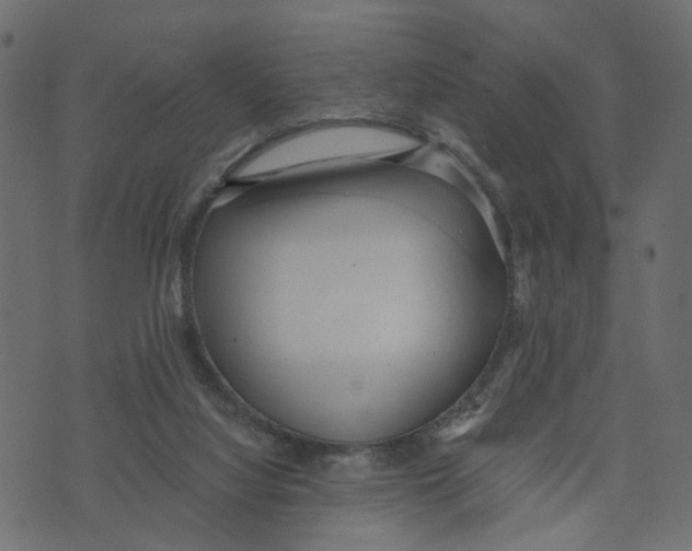 X0000072950068200608181417