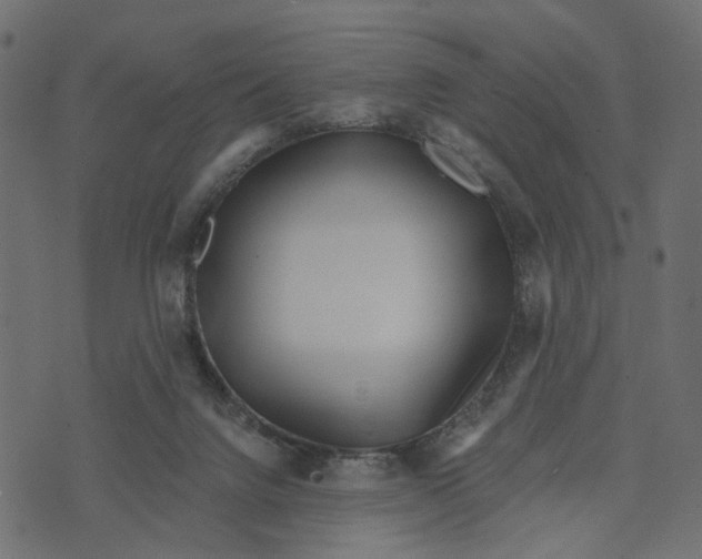 X0000072950072200608181417