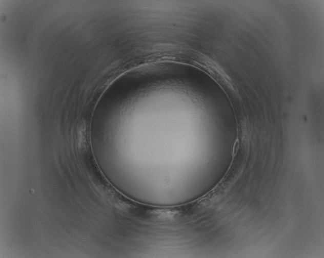 X0000072950073200608181417