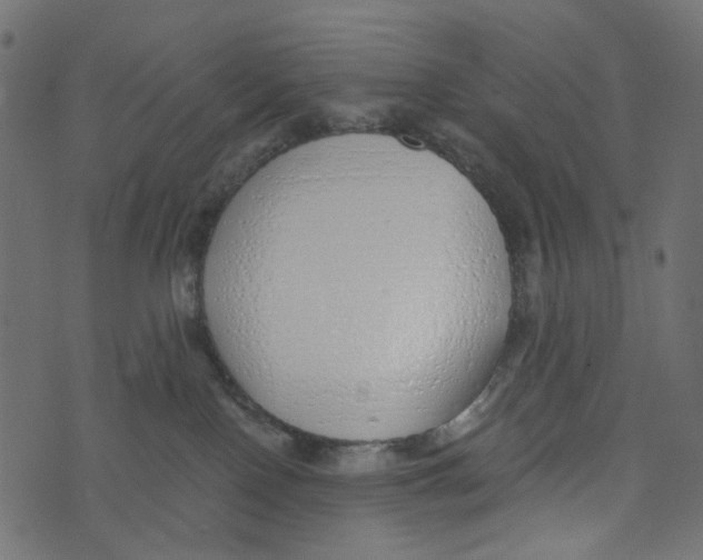 X0000072950090200608181417