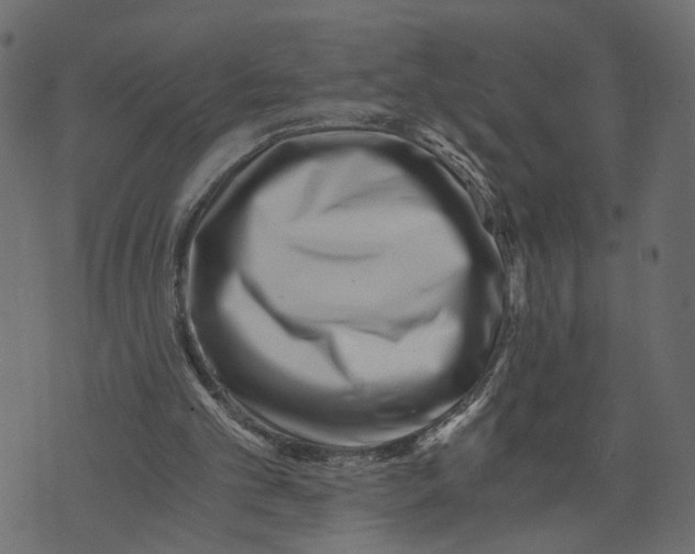 X0000072950101200608181416