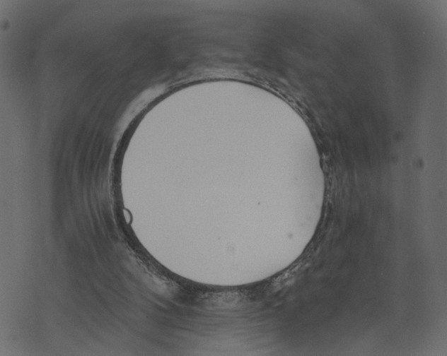 X0000072950104200608181416