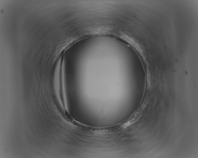 X0000072950105200608181416
