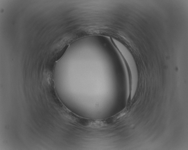 X0000072950125200608181416