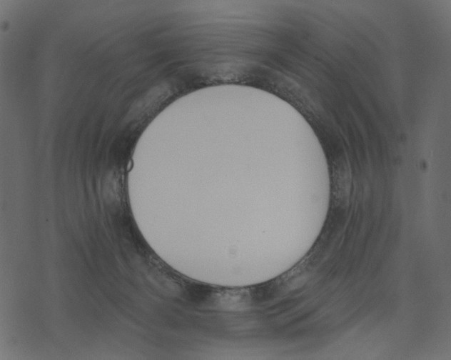 X0000072950126200608181416