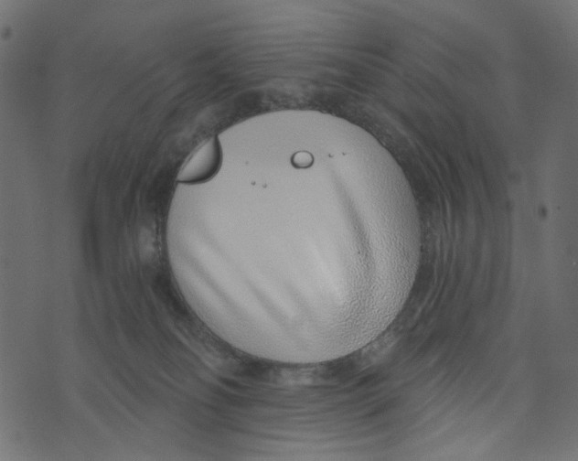 X0000072950134200608181416