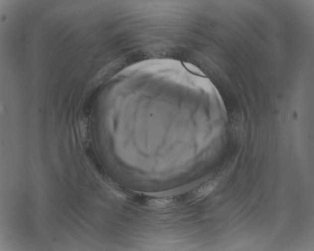 X0000072950139200608181416