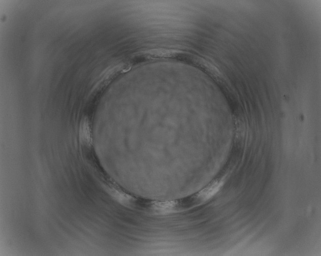 X0000072950143200608181415