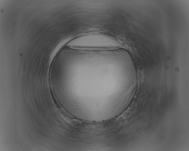 X0000072950147200608181415