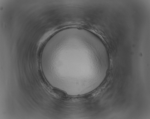 X0000072950149200608181415