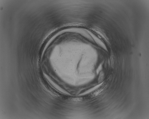 X0000072950156200608181415