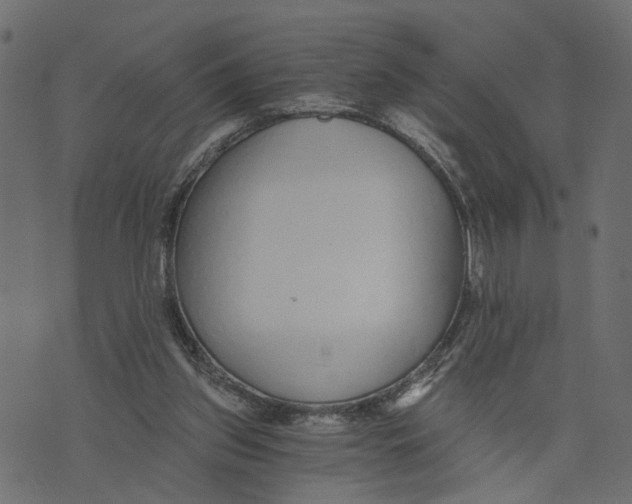 X0000072950157200608181415