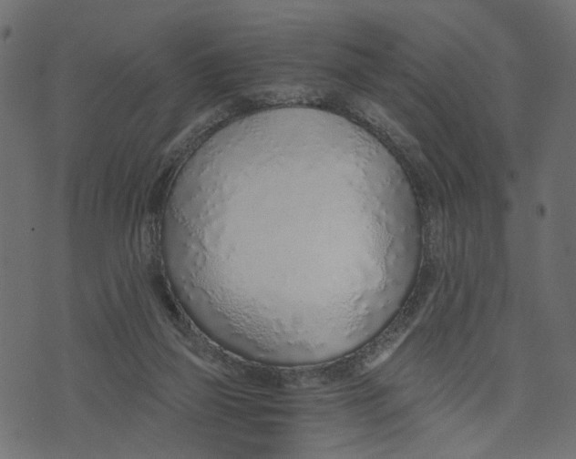 X0000072950165200608181415