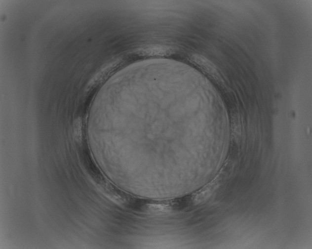 X0000072950167200608181415