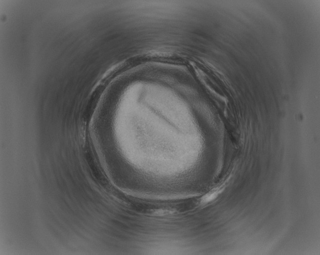 X0000072950168200608181415