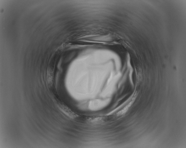 X0000072950186200608181415