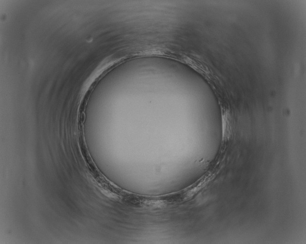 X0000072950195200608181415