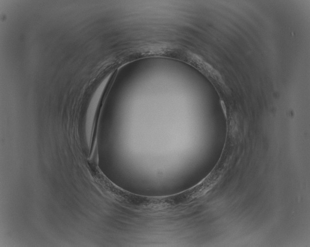 X0000072950209200608181414