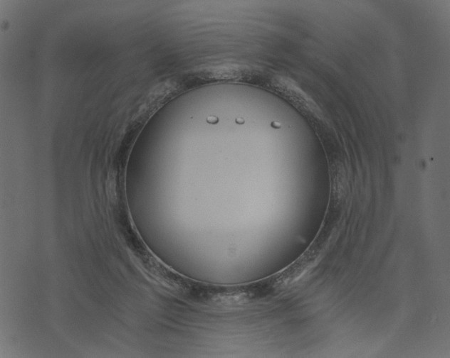 X0000072950213200608181414