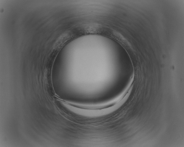 X0000072950217200608181414