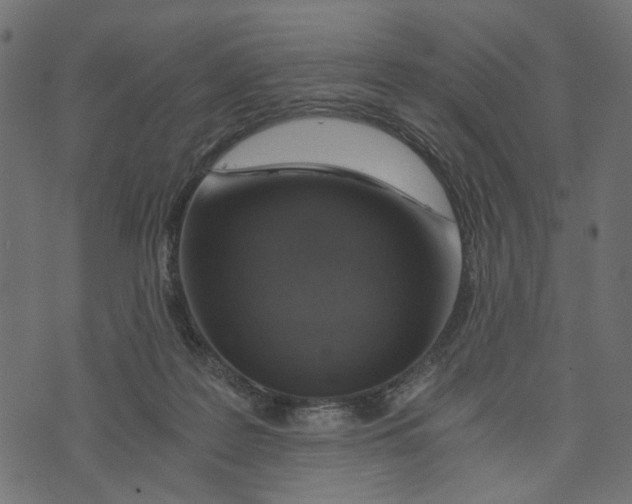 X0000072950219200608181414
