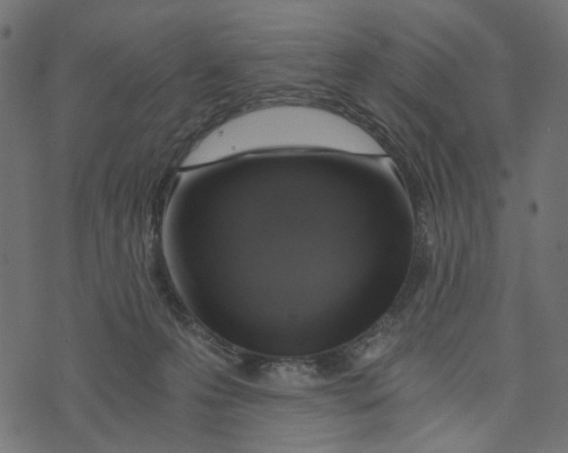 X0000072950223200608181414