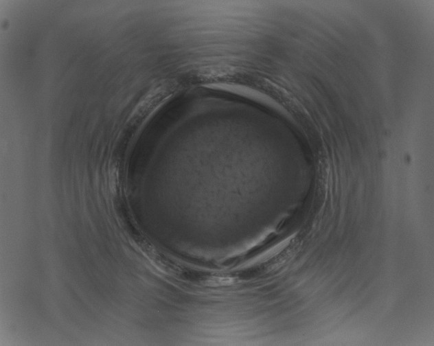 X0000072950227200608181414